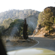 Illustration for article titled What An Alfa Romeo 4C And A Canyon Road Will Teach You About Modern Turbos